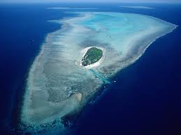 heron island